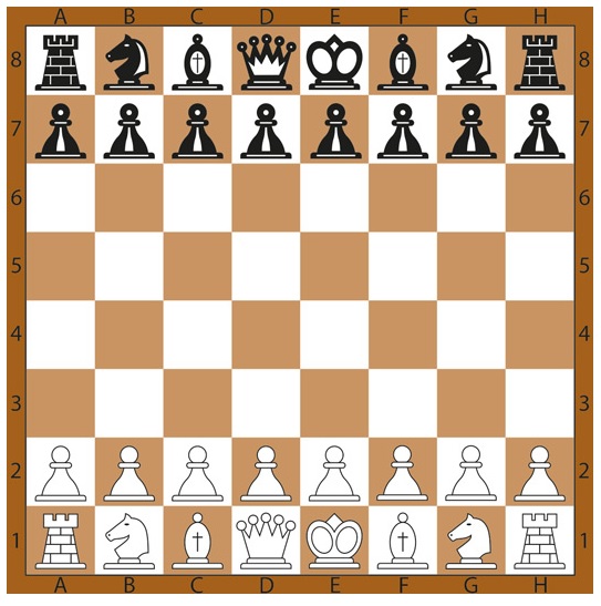 Rules of Chess Boxing  How it is Played? - Sports Regulations