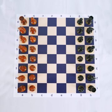 Standard Tournament Club Chess Board (FIDE)