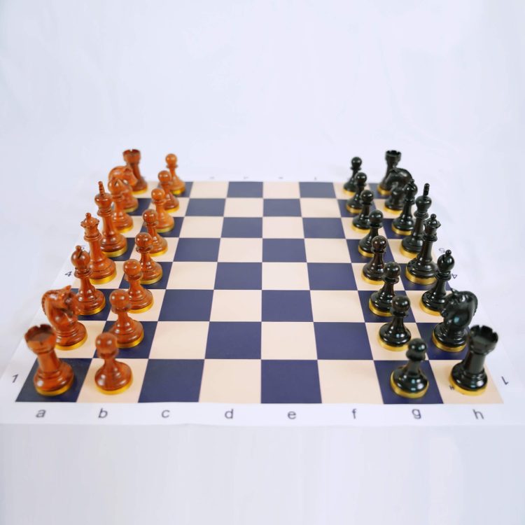 Standard Tournament Club Chess Board (FIDE)