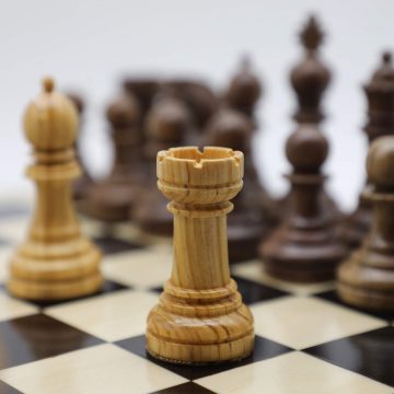 Superior Wood Chess Pieces - Ebony Wood